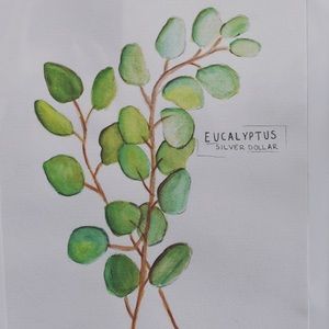 Eucalyptus watercolor painting